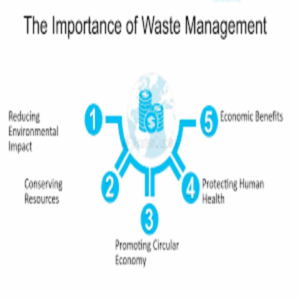 Why Is Organic Waste Management Important
