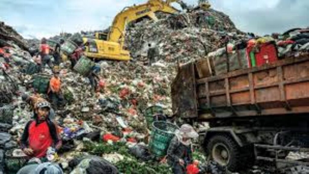 Why Is Organic Waste a Problem
