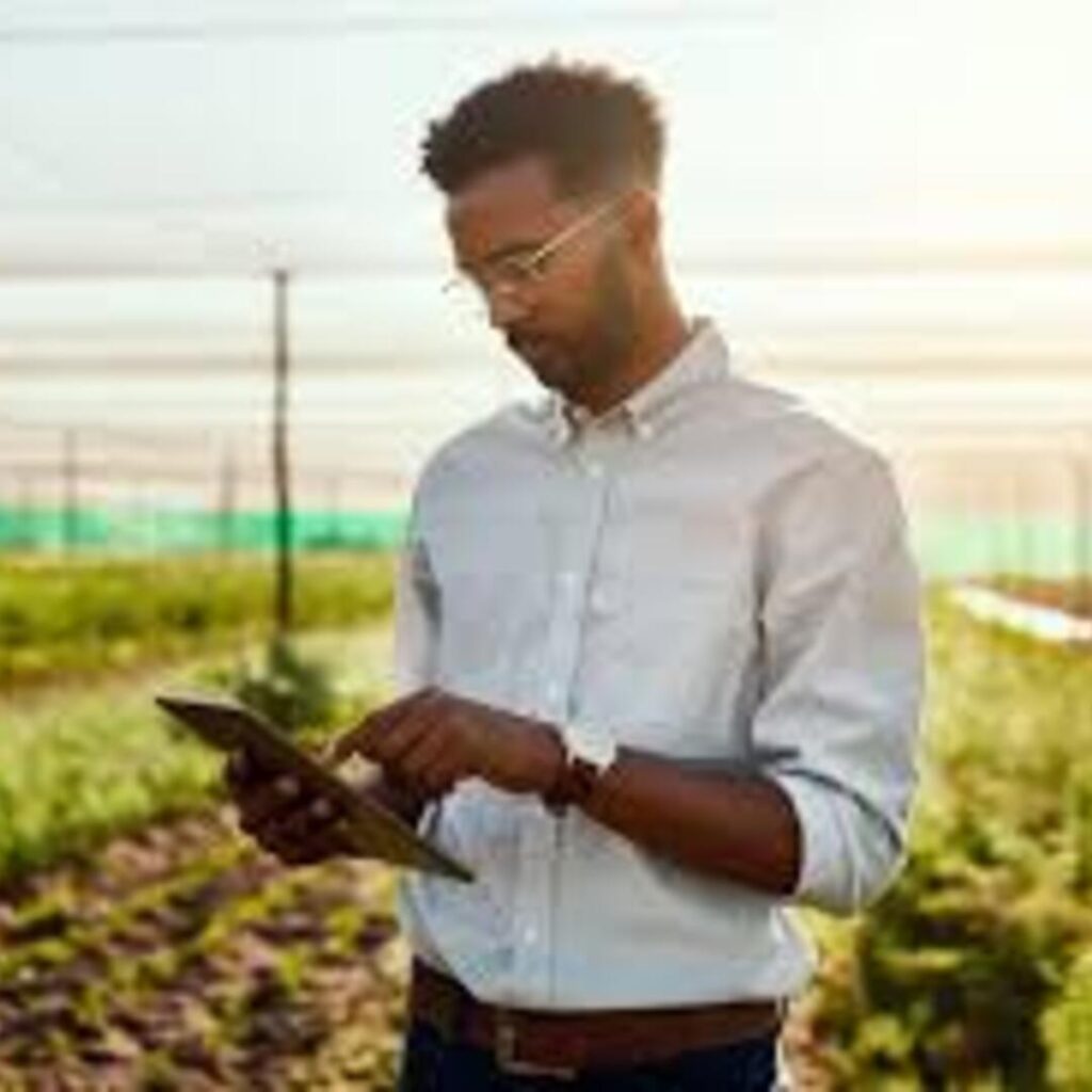 what-is-a-sustainability-consultant